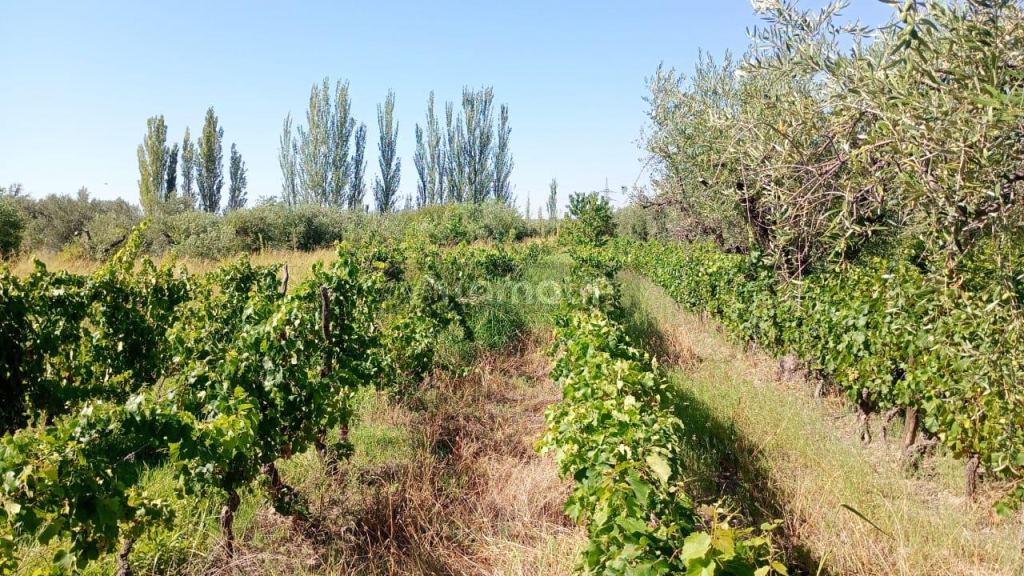Lote en Venta en Maipu, Mendoza