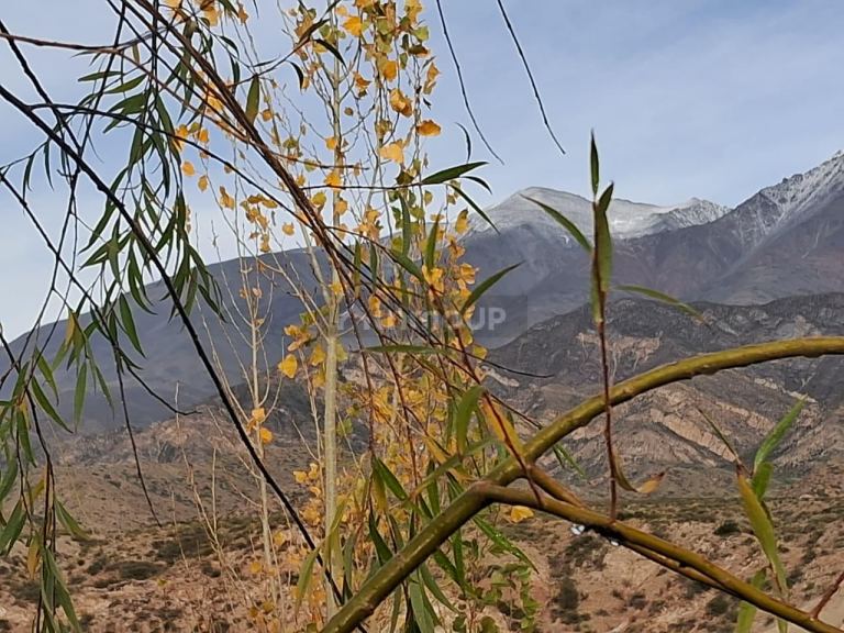 Cabaña en Venta en Lujan de Cuyo, Mendoza