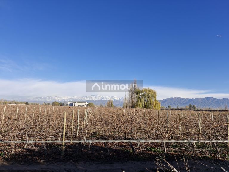 Lote en Venta en Lujan de Cuyo, Mendoza