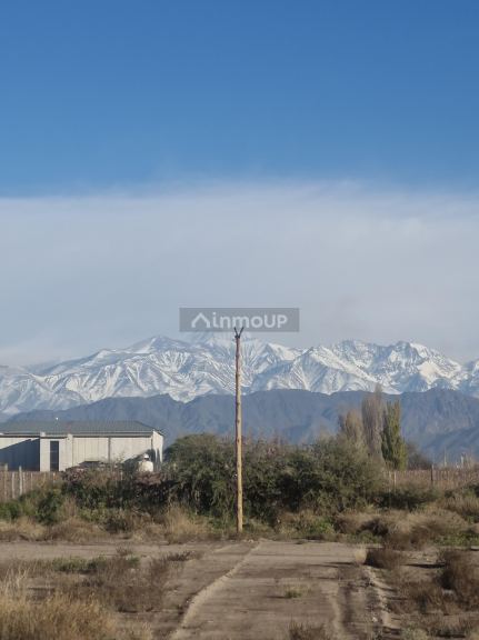 Lote en Venta en Lujan de Cuyo, Mendoza