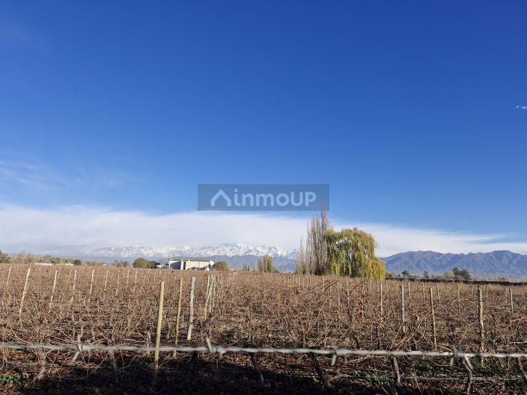 Lote en Venta en Lujan de Cuyo, Mendoza