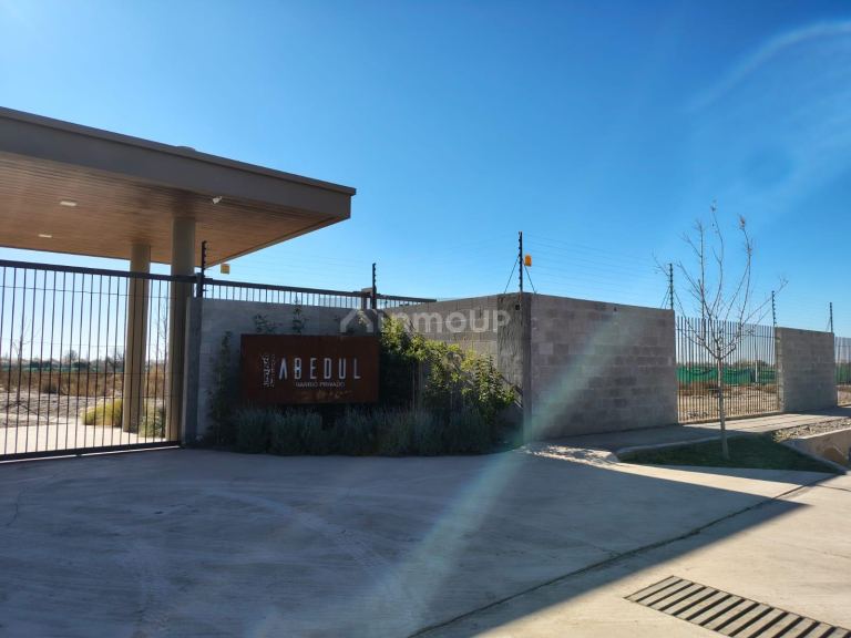 Lote en Venta en Lujan de Cuyo, Mendoza