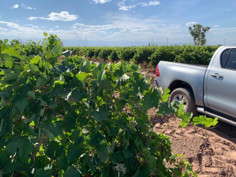 Finca en Venta en Maipu, Mendoza
