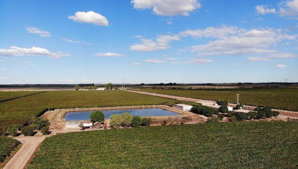 Finca en Venta en Maipu, Mendoza