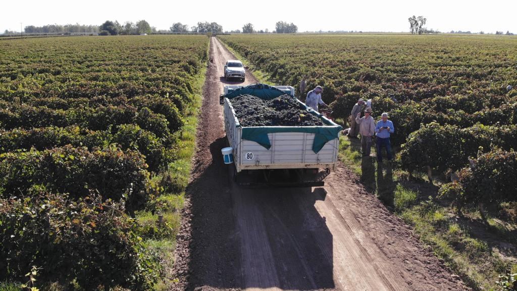 Finca en Venta en Maipu, Mendoza