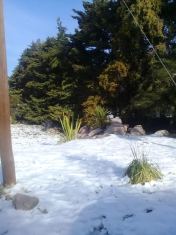 Lujan de Cuyo RUTA 82/SN. CACHEUTA, LUJÁN DE CUYO, MENDOZA