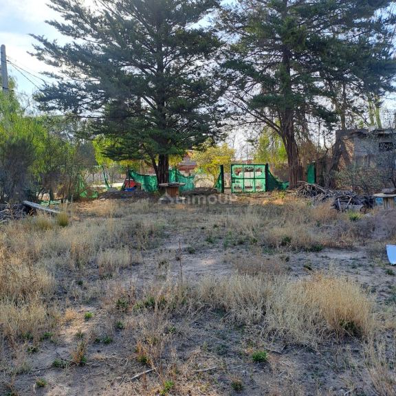 Lote en Venta en Lujan de Cuyo, Mendoza