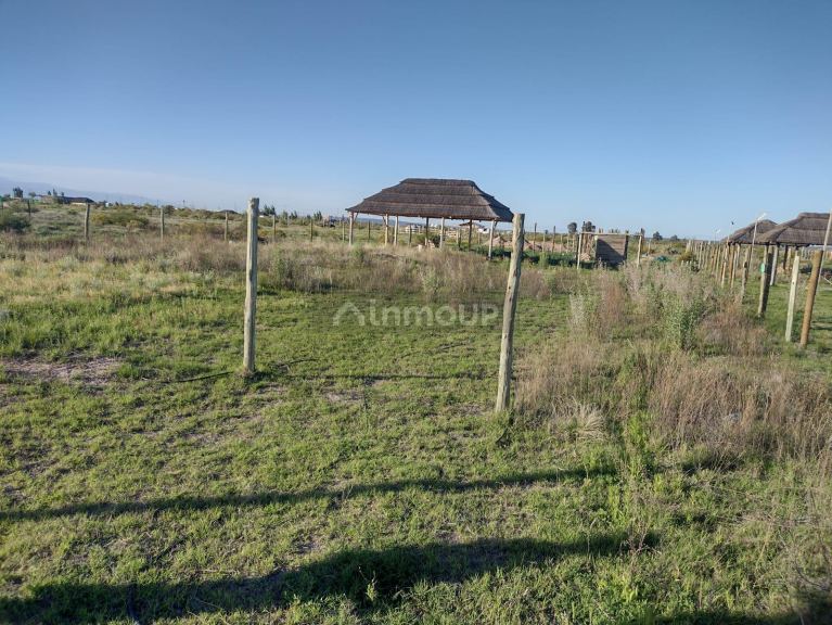 Lote en Venta en Lujan de Cuyo, Mendoza