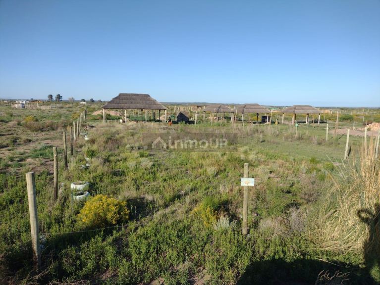 Lote en Venta en Lujan de Cuyo, Mendoza
