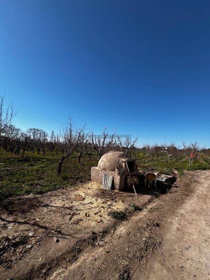 Finca en Venta en Maipu, Mendoza