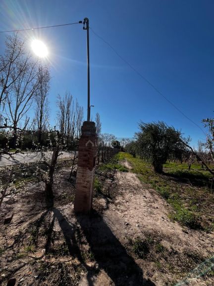 Finca en Venta en Maipu, Mendoza