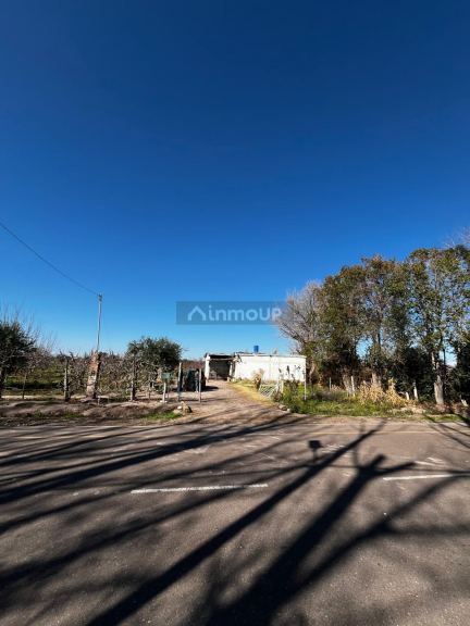 Finca en Venta en Maipu, Mendoza