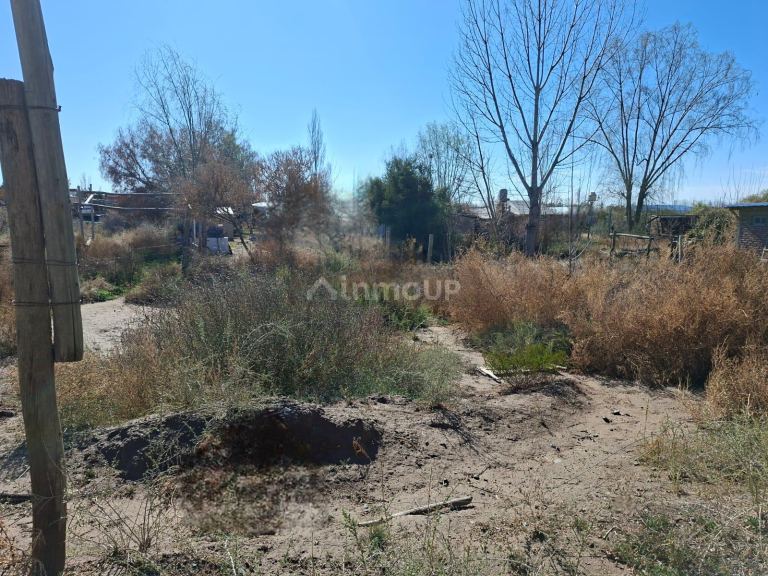 Lote en Venta en Lujan de Cuyo, Mendoza