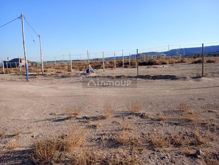 Lote en Venta en Lujan de Cuyo, Mendoza