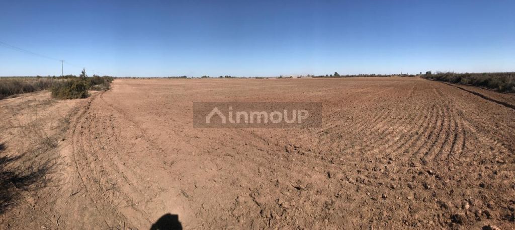 Finca en Venta en Lavalle, Mendoza