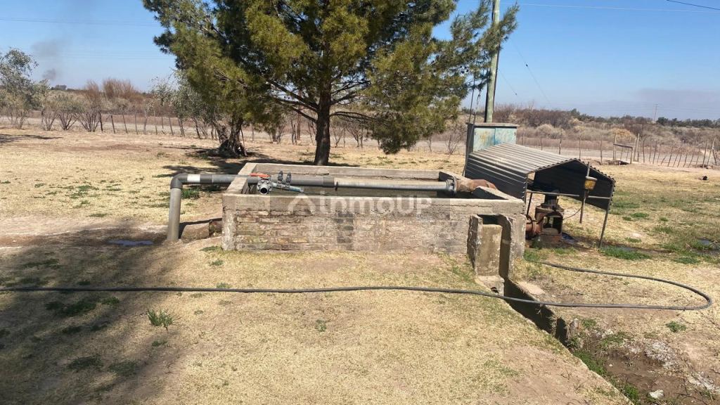 Finca en Venta en Lavalle, Mendoza