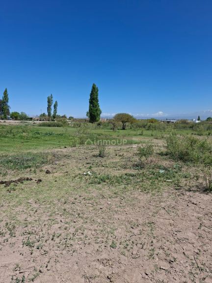 Finca en Venta en Lujan de Cuyo, Mendoza