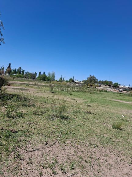 Finca en Venta en Lujan de Cuyo, Mendoza