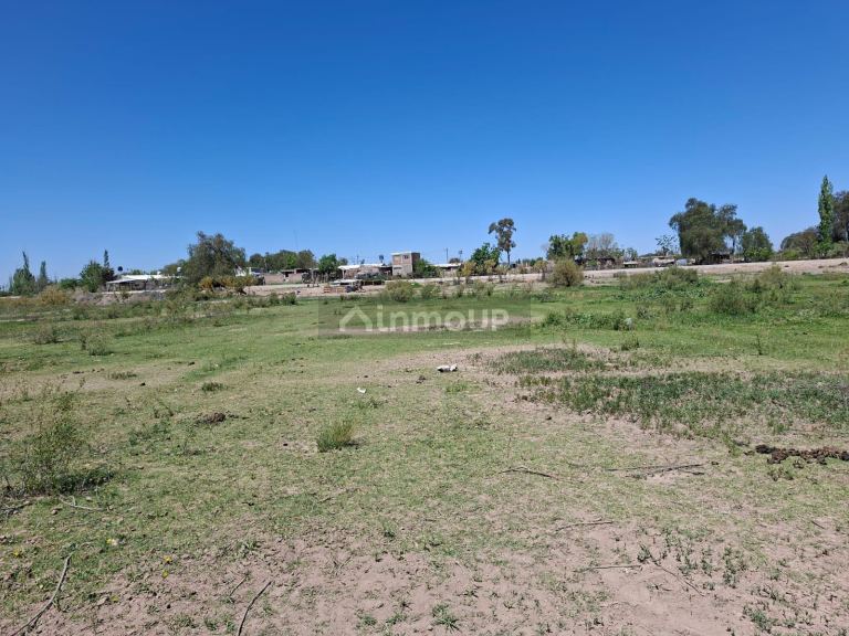 Finca en Venta en Lujan de Cuyo, Mendoza