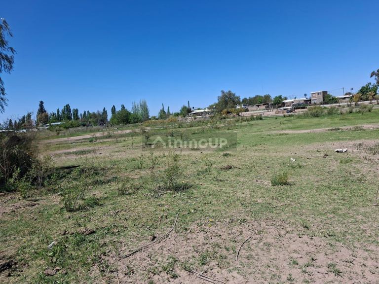 Finca en Venta en Lujan de Cuyo, Mendoza