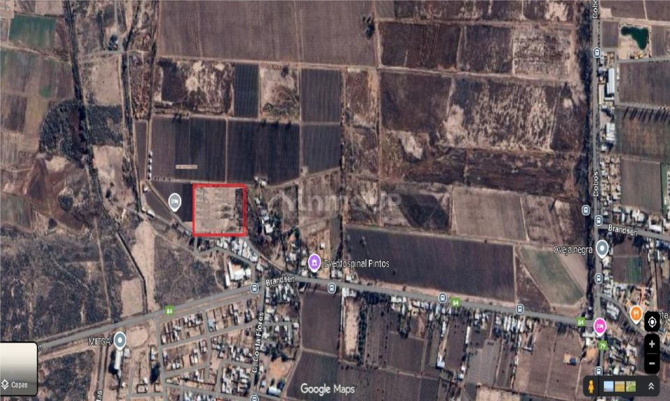 Finca en Venta en Lujan de Cuyo, Mendoza