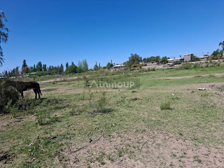 Finca en Venta en Lujan de Cuyo, Mendoza
