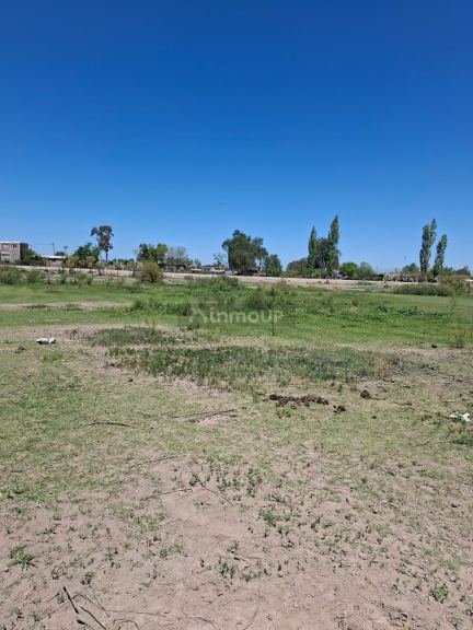 Finca en Venta en Lujan de Cuyo, Mendoza