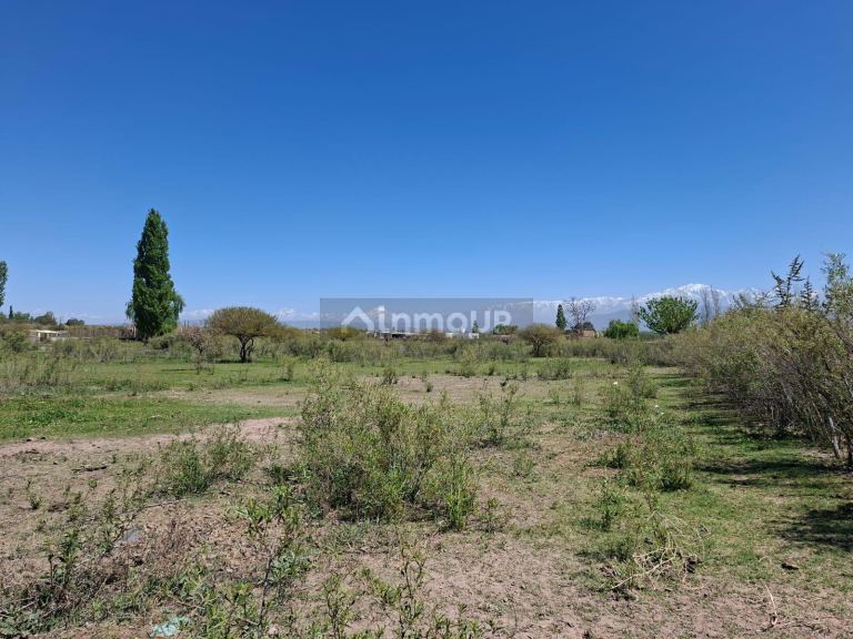 Finca en Venta en Lujan de Cuyo, Mendoza