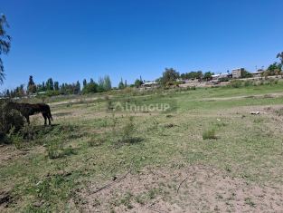 Lujan de Cuyo PERDRIEL, BRANDSEN