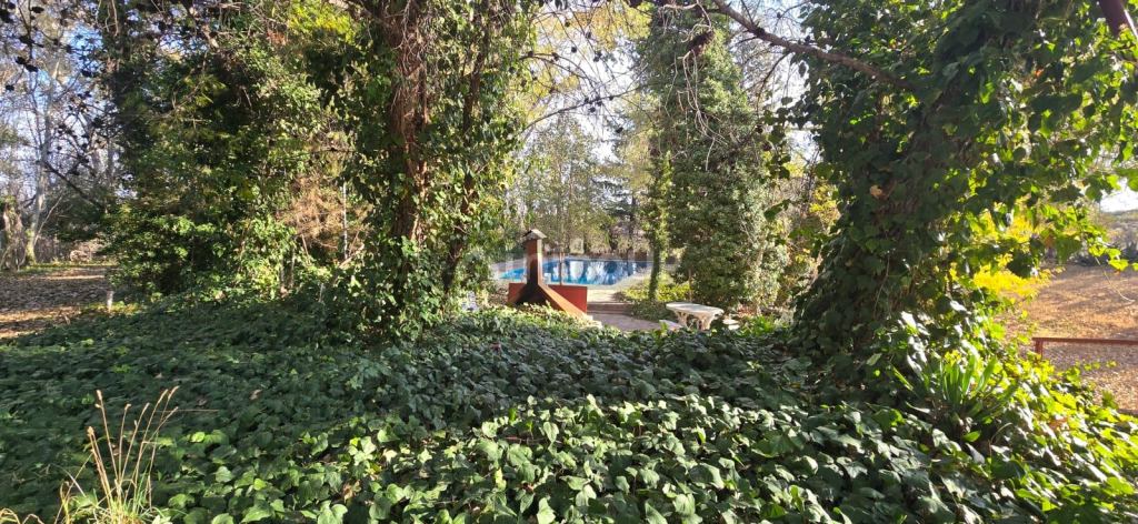 Finca en Venta en Lujan de Cuyo, Mendoza