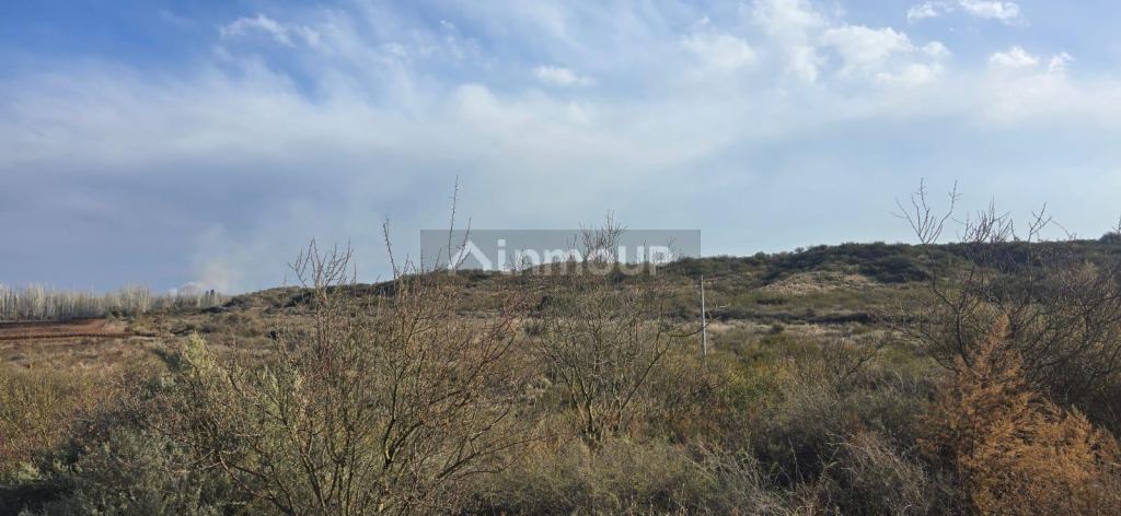 Finca en Venta en Lujan de Cuyo, Mendoza