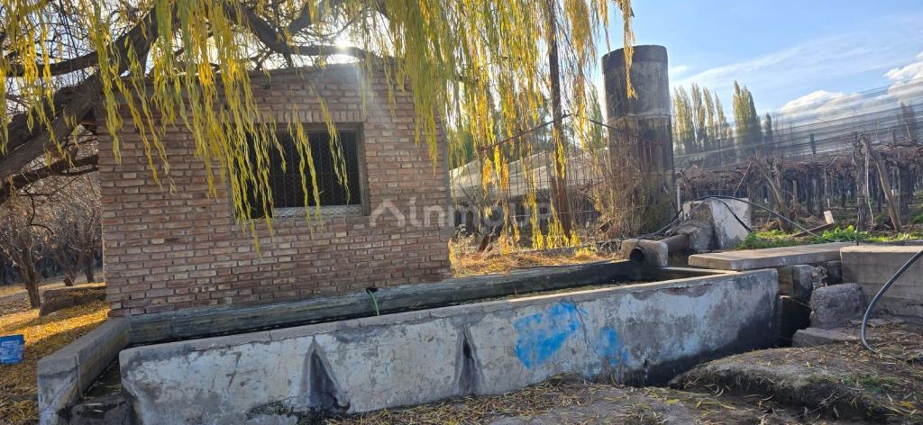 Finca en Venta en Lujan de Cuyo, Mendoza