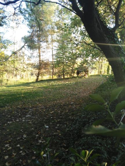 Finca en Venta en Lujan de Cuyo, Mendoza