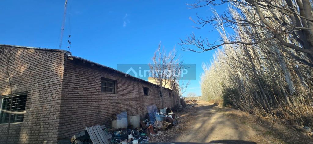 Finca en Venta en Lujan de Cuyo, Mendoza