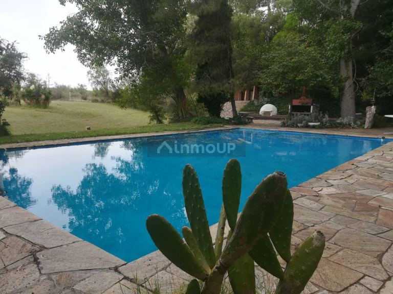 Finca en Venta en Lujan de Cuyo, Mendoza