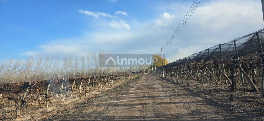 Finca en Venta en Lujan de Cuyo, Mendoza