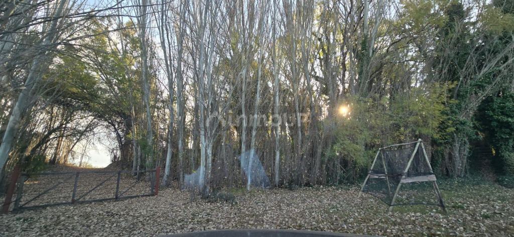 Finca en Venta en Lujan de Cuyo, Mendoza