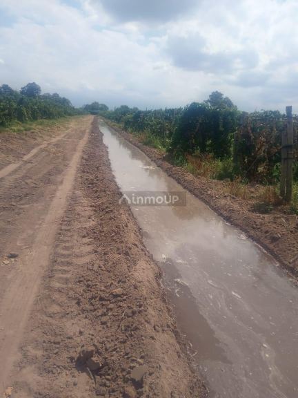 Finca en Venta en Lavalle, Mendoza