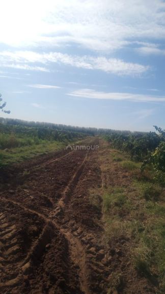 Finca en Venta en Lavalle, Mendoza
