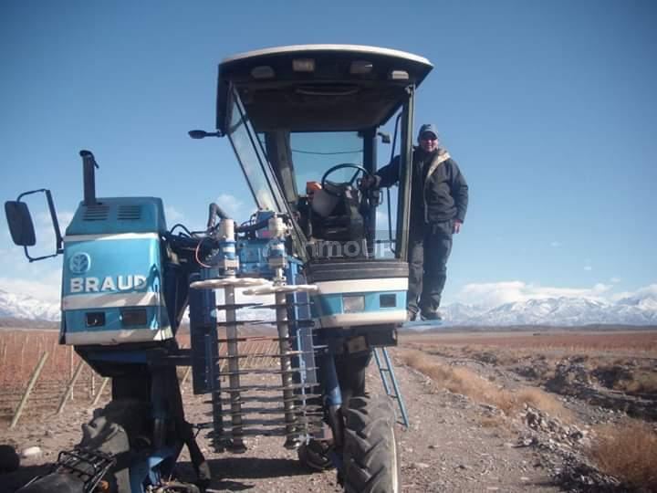Finca en Venta en Lavalle, Mendoza