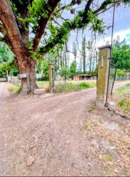 Lote en Venta en Lujan de Cuyo, Mendoza