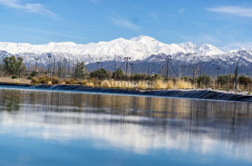 Lote en Venta en Lujan de Cuyo, Mendoza