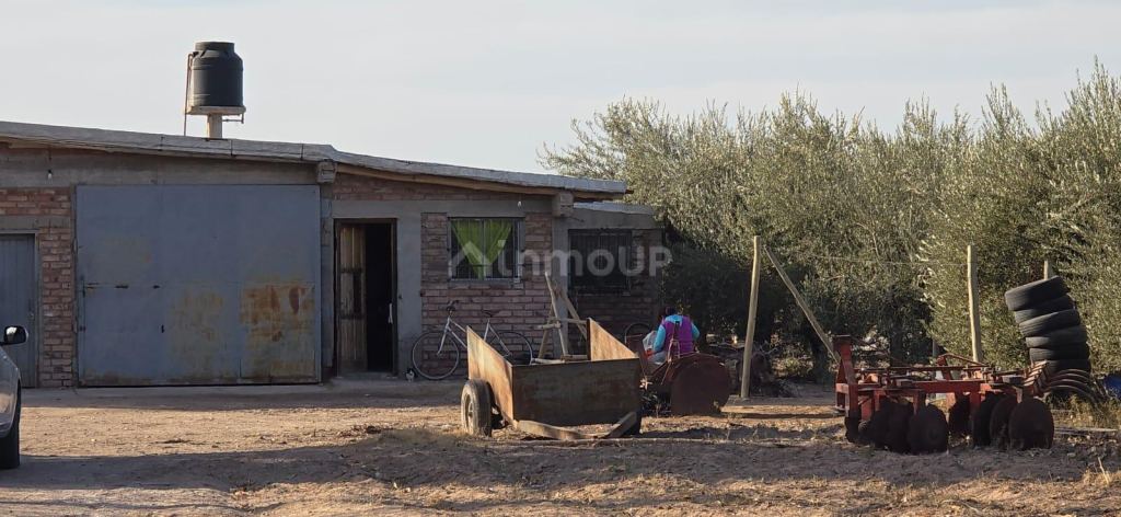 Finca en Venta en Las Heras, Mendoza