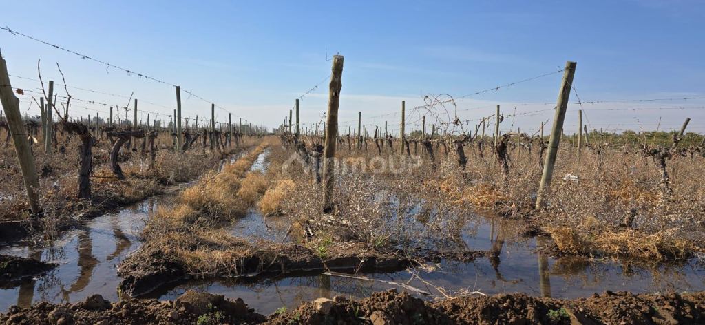 Finca en Venta en Las Heras, Mendoza