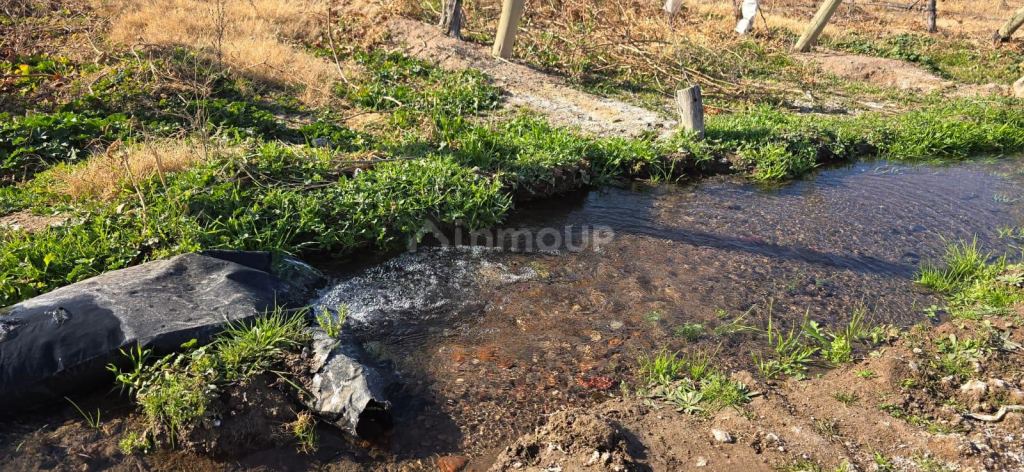 Finca en Venta en Las Heras, Mendoza