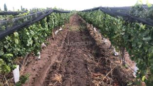 Las Heras LAS HERAS, CHACON Y CARRIL BORBOLLON