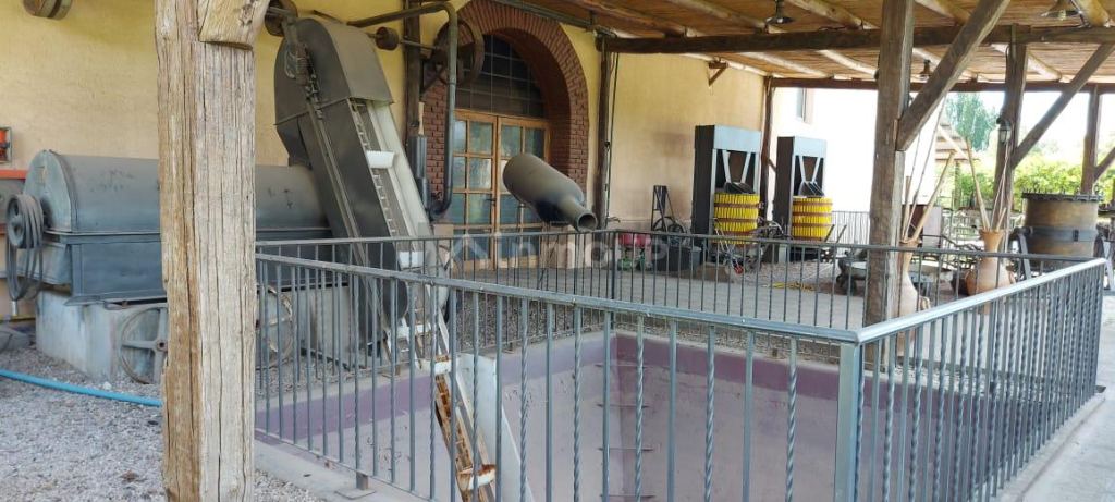 Bodega en Venta en Maipu, Mendoza