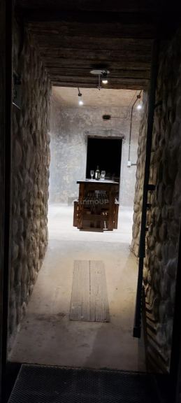 Bodega en Venta en Maipu, Mendoza