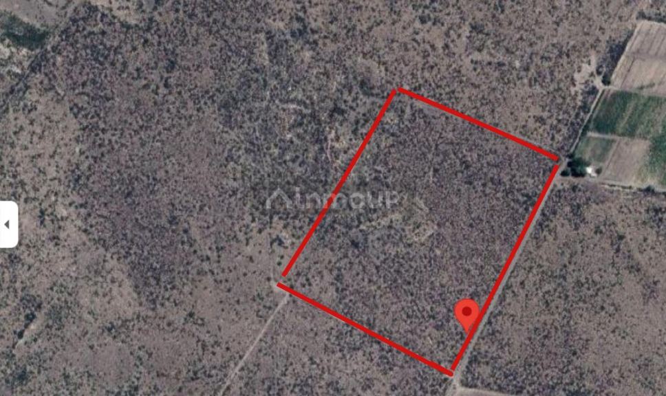 Terreno en Venta en Santa Rosa, Mendoza