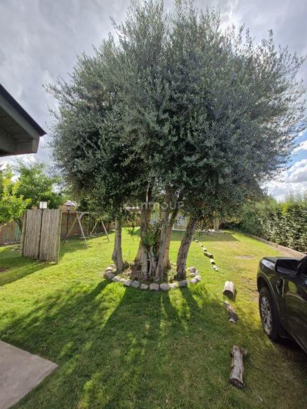 Cabaña en Venta en Lujan de Cuyo, Mendoza